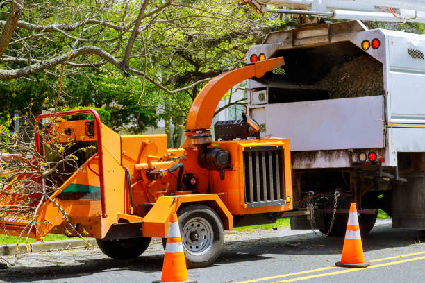 Best Utility Line Clearance  in Sawmills, NC